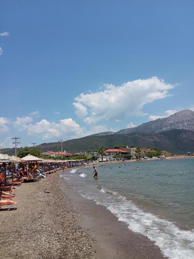 NafpaktosΠέτρινο Στη Θάλασσαアパートメント エクステリア 写真