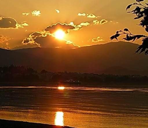 NafpaktosΠέτρινο Στη Θάλασσαアパートメント エクステリア 写真